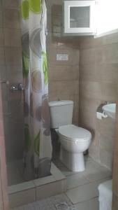 ein Bad mit einem WC und einem Duschvorhang in der Unterkunft Amazing view apartment in Plataria