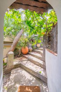 a set of stairs with potted plants on them at Old Memories House in Taormina