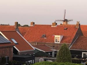 a row of houses with red roofs and a windmill at PuraVida in Westkapelle