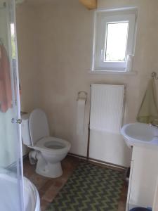 a bathroom with a toilet and a sink and a window at Siedlisko Bieszczadzkie 3 in Lutowiska
