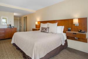 a hotel room with a bed and a dresser at Omni Providence in Providence
