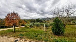 Príroda v okolí of the bed and breakfast