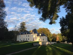 uma grande casa branca num campo verdejante em Chateau de Moison, Domaine Eco Nature em Ivoy-le-Pré