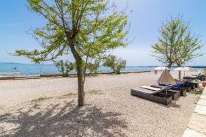 Fotografie z fotogalerie ubytování Riviera Resort Vir v destinaci Vir
