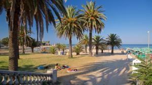 a beach with palm trees and people laying on the sand at Affittacamere San Michele in San Benedetto del Tronto