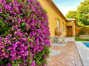 Casa rural Vía del Tranvía, La Zubia – Updated 2022 Prices