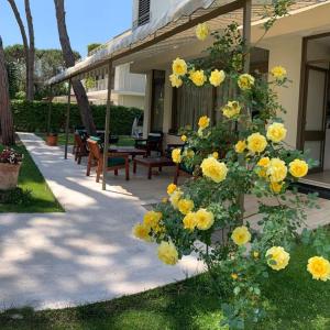 ogród z żółtymi kwiatami na boku domu w obiekcie Hotel Etruria w mieście Forte dei Marmi
