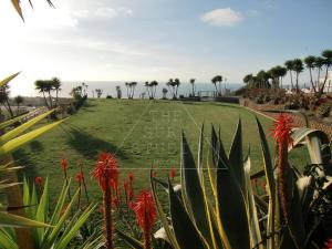 a grassy hill with a sign that reads the sun set at The Surf Studio - Ericeira in Ericeira