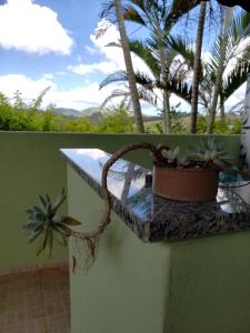 una planta sentada en una cornisa en una pared en Casa Star en Monte Sião