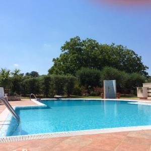 Piscina di One bedroom appartement with shared pool furnished terrace and wifi at Martina Franca o nelle vicinanze