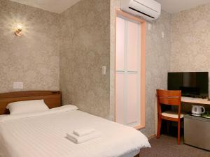 TV a/nebo společenská místnost v ubytování Allcomein Hotel Akihabara