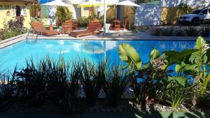 una piscina con sillas y plantas en un patio en Pousada Viva Ubatuba, en Ubatuba