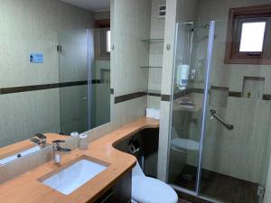 a bathroom with a shower and a sink and a toilet at Entre Cumbres Hotel & Apart Hotel in Coihaique