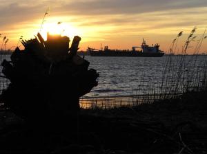 una puesta de sol sobre el agua con un barco en la distancia en Holthus en Kollmar