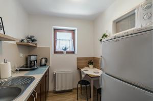 een kleine keuken met een wastafel en een koelkast bij Pokoje gościnne "U Teresy" in Krościenko