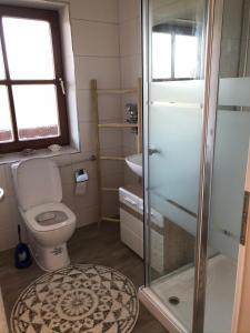 a bathroom with a toilet and a glass shower at BohnApart52 in Zwiesel