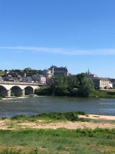 een brug over een rivier met gebouwen op de achtergrond bij Le petit Candy in Amboise