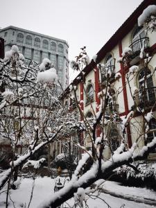 a tree covered in snow in front of a building at Dong Fang Hotel Beijing in Beijing