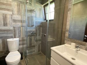 a bathroom with a toilet and a shower and a sink at My Grandparents House in Ohrid +37 photos