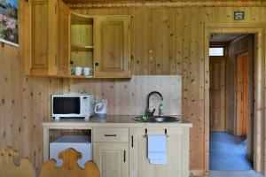 Kuchyňa alebo kuchynka v ubytovaní Apartamenty Sosna