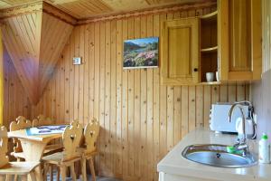 Kuchyňa alebo kuchynka v ubytovaní Apartamenty Sosna