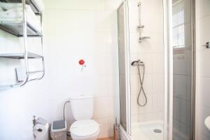 a bathroom with a toilet and a shower at Willa Leluja in Zakopane