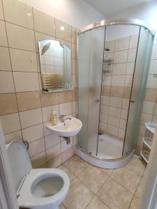 łazienka z prysznicem, toaletą i umywalką w obiekcie Apartament-studio, pokoje u Lucy w Rabce