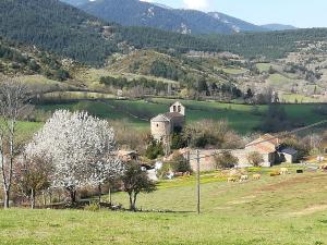 a small village with a church and a field with cows at Alberg Rural La Rectoria de Pedra in Bellver de Cerdanya