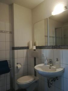 a bathroom with a sink and a toilet and a mirror at Pension & Ferienwohnung Zum Schmuckgiebel in Tangermünde