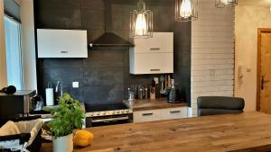 Kuchyňa alebo kuchynka v ubytovaní Krupówki i Styl, Krupówki Inn i Studio Miła w Centrum przy Krupówkach APARTZAKOP