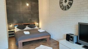 Televízia a/alebo spoločenská miestnosť v ubytovaní Krupówki i Styl, Krupówki Inn i Studio Miła w Centrum przy Krupówkach APARTZAKOP