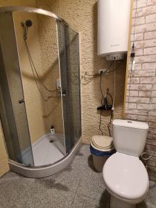 ein Bad mit einer Dusche, einem WC und einer Dusche in der Unterkunft Kambarių nuoma Salantuose in Salantai