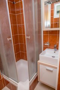 La salle de bains est pourvue d'une douche et d'un lavabo. dans l'établissement Apartman Zenta, à Petrovac na Moru