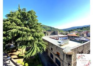 a large tree is standing next to a building at Hostal El Castillo in Arenas de San Pedro