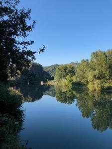 Blick auf einen Fluss mit Bäumen am Ufer in der Unterkunft Les Gîtes du Rocher et de la Boucle du Tarn in Ambialet