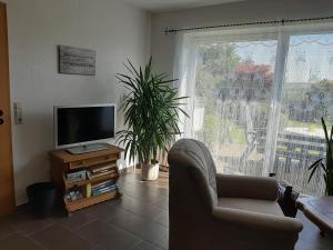 sala de estar con TV, silla y ventana en Landhaus Kühn, en Bad Salzungen