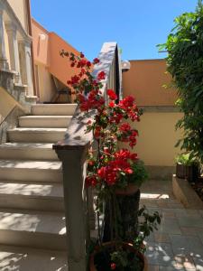 Fotografie z fotogalerie ubytování Apartment close to Krk town centre v destinaci Krk