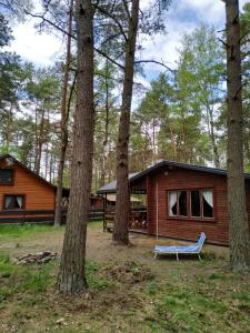 una baita di tronchi nel bosco con una panchina davanti di Domek nad Bugiem a Wólka Nadbużna