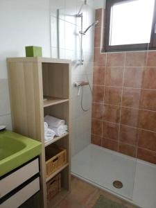 uma casa de banho com um chuveiro, um lavatório e um chuveiro em Landhaus Kurz em Golling an der Salzach