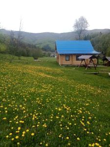 Galeriebild der Unterkunft Cottage Лісовий in Bukovets