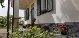A garden outside Etna, salvia e rosmarino