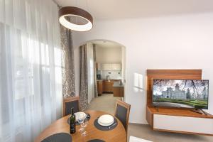 TV o dispositivi per l'intrattenimento presso Residence Hluboká