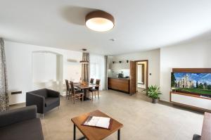 TV o dispositivi per l'intrattenimento presso Residence Hluboká