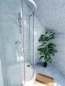 a bathroom with a shower and a potted plant at Berg Sz&aacute;ll&aacute;s in S&aacute;toralja&uacute;jhely