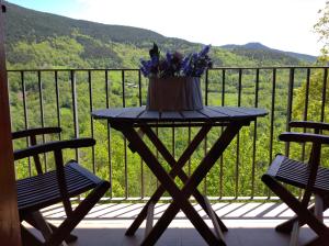 una mesa con un jarrón de flores en el balcón en Apartaments Fontalba en Queralbs