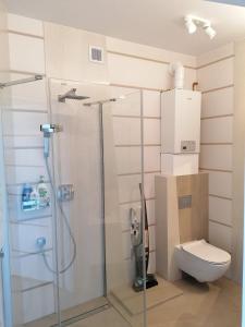 a bathroom with a shower and a toilet at Apartament Słoneczna Przystań Sobieszewo in Gdańsk