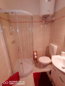 a bathroom with a shower and a toilet and a sink at Mirta & Eva Apartments in Piran