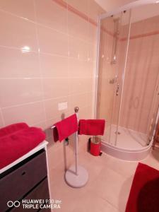a bathroom with a shower and a red towel at Mirta & Eva Apartments in Piran