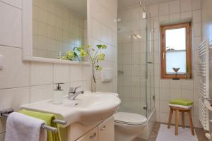 a bathroom with a sink and a toilet and a shower at Chalet Menkenhof in Reit im Winkl +17 photos