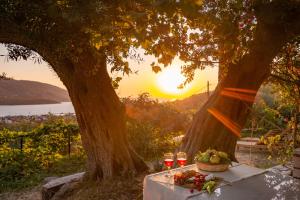- une table avec une corbeille de fruits et des verres à vin dans l'établissement Liodentro - Olea, à Plataria